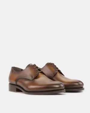 Brown Calf Derby Shoe