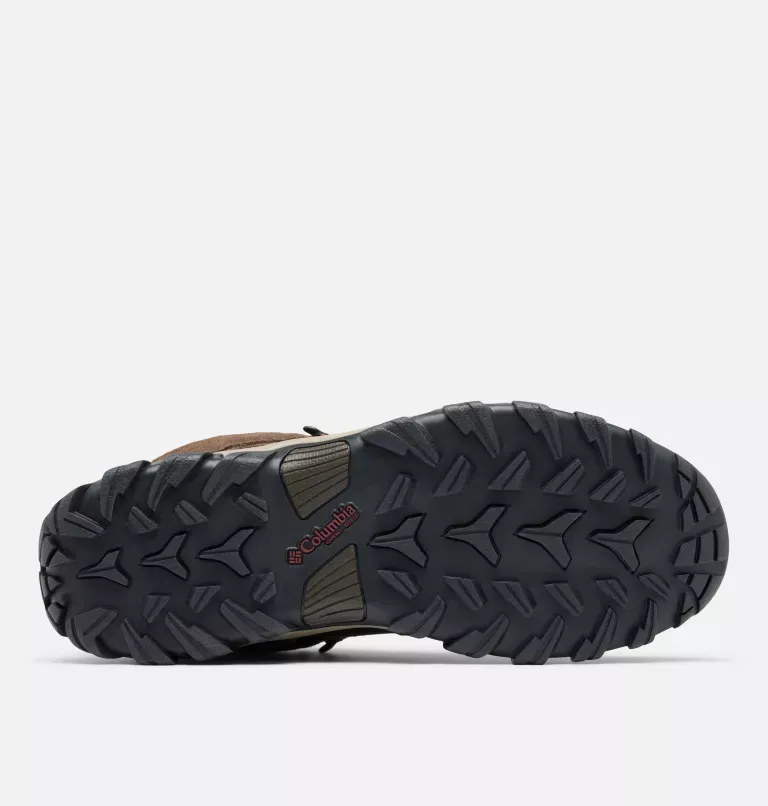Newton Ridge™ Plus II Suede WP