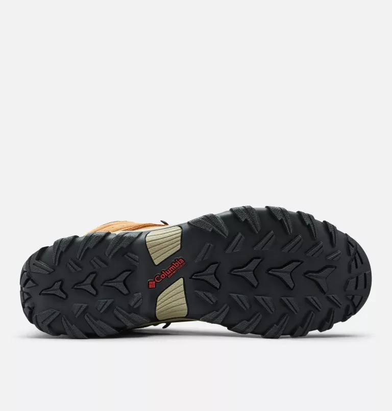 Newton Ridge™ Plus II Suede WP
